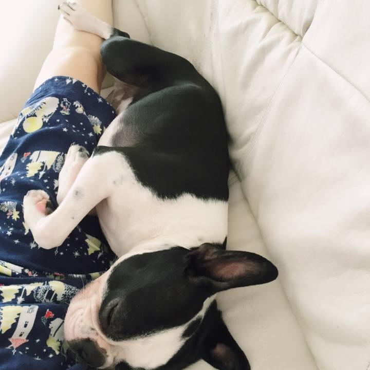 F9b833f9 2d58 481c b791 2b62fc26a470