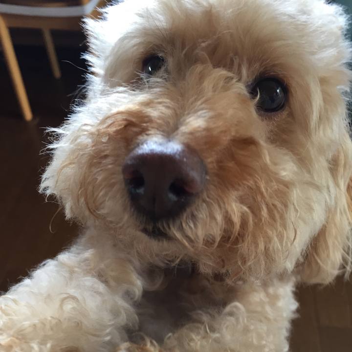 F9b84cff c886 4e9a ae4e 48b1d260febe