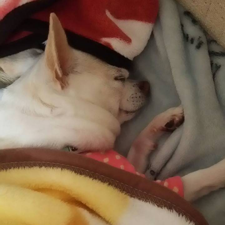 F9b8b8bc 5369 48da ade5 4d36edf389ee