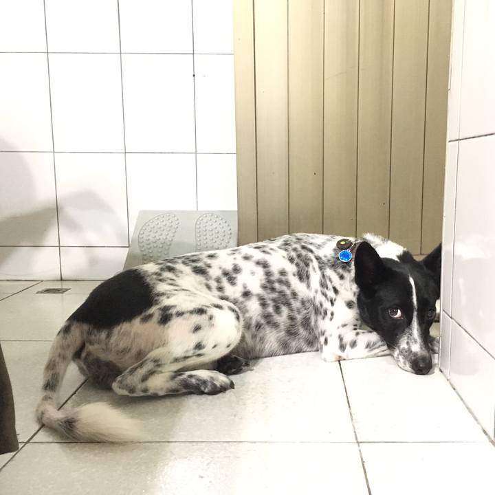 F9b94741 3825 4600 a481 822dcdb49e96