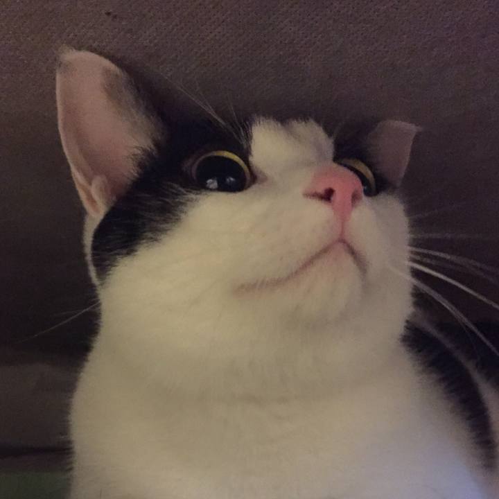 F9ba6a45 abf2 4f5a bfcc 03b1c26dd187