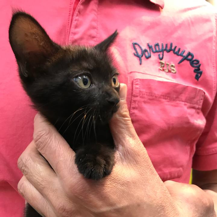 F9ba78b1 9d4f 4a11 97ef 5d9605447401