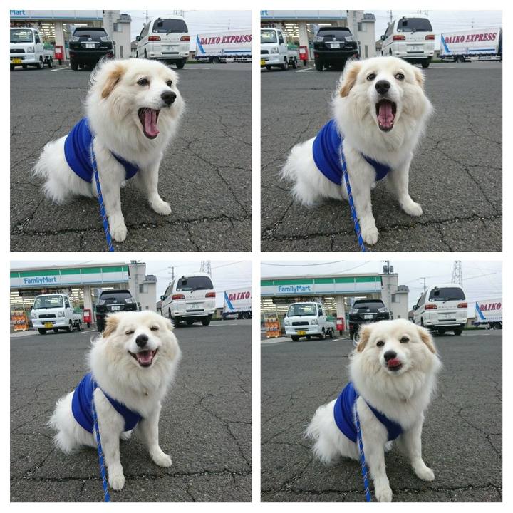 F9bb656c 2a36 40e6 bee1 062e6cf8f23f