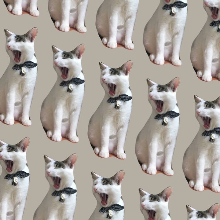 F9bb8044 8c19 40d2 b1d0 01ad9ae3295a