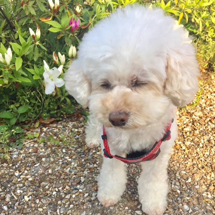 F9bc4231 e8f4 4db7 9311 a796f1f03715