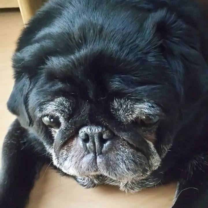 F9bc5471 c27c 48b4 808e ac6791a64676