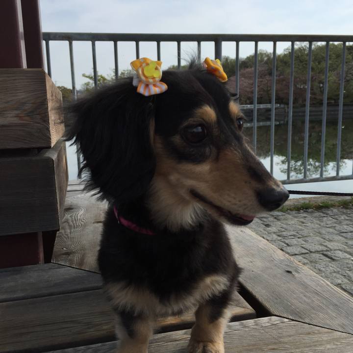 F9bcce10 2f29 4351 94ed b1595a4366cd