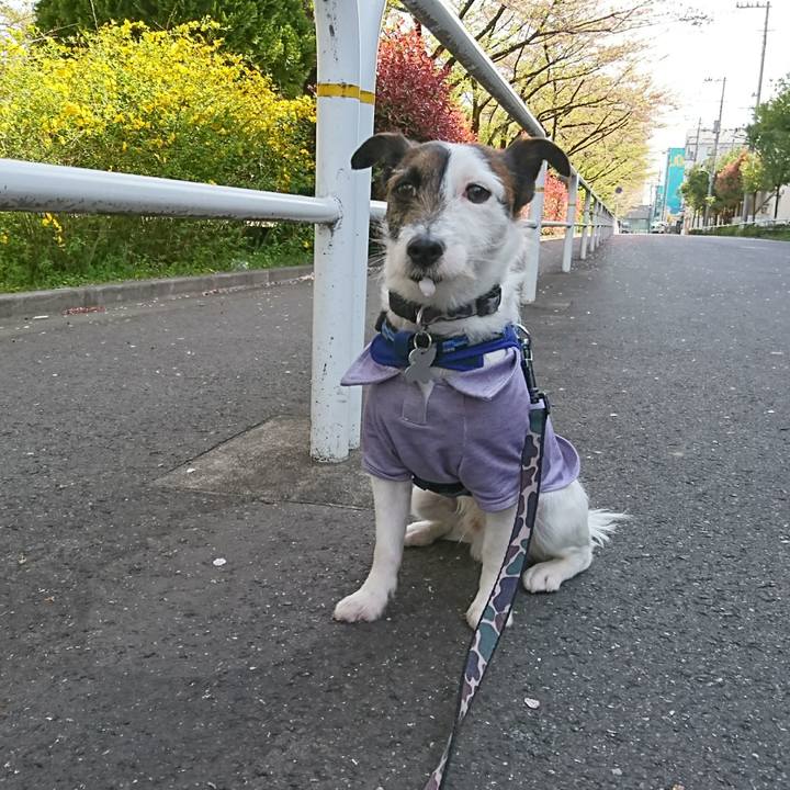 F9be7289 7b14 4abf 979c 70b423ef6db4