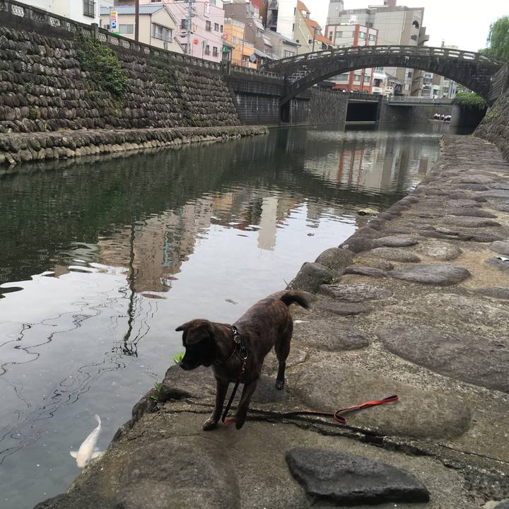 F9bebe6f f3f3 4640 a8bc 143e247eda79