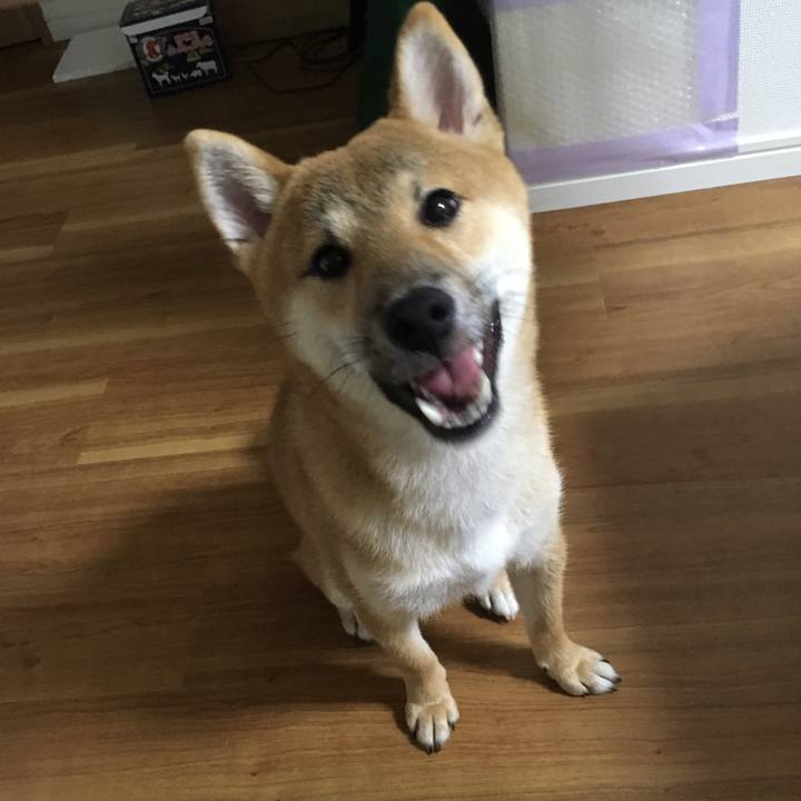 F9bec92e 46a0 41b8 bb2b 3910af776280