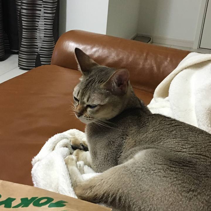 F9bf21b2 eb83 4cfa ae9c 9ecddb785527