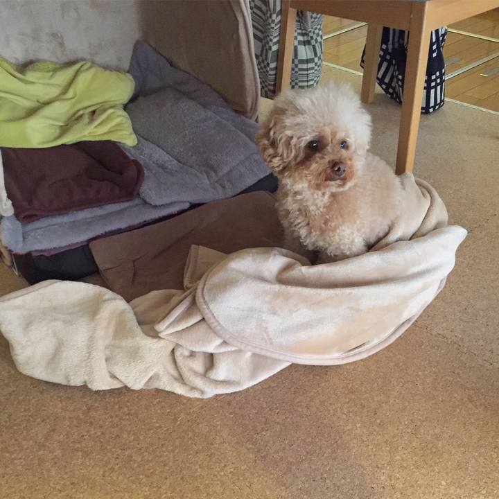 F9bf2860 6f07 4631 8de9 67186546c2b7