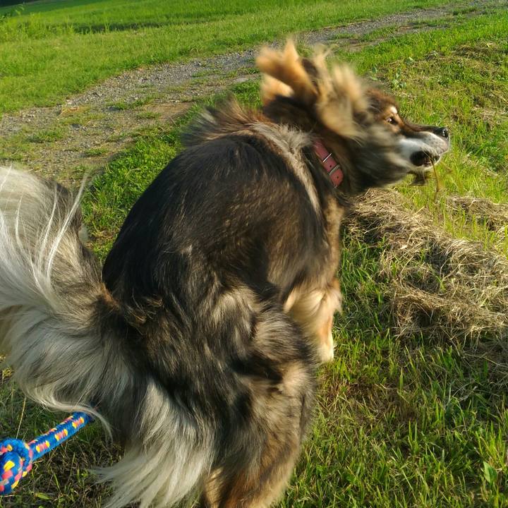 F9bf8a21 8cb5 4d10 bbfe f3dacb2e0d05