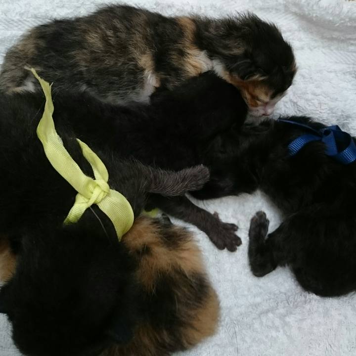 F9c18380 513a 4190 a3d8 3987088c5f97