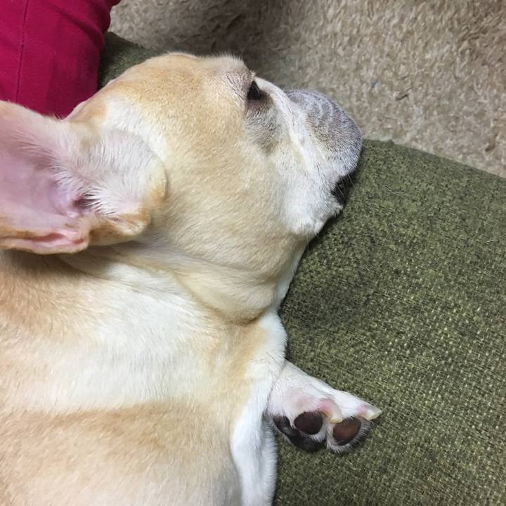 F9c20792 0dec 4b8d a782 7d5ae493a6e0