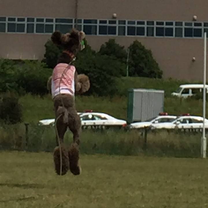 F9c25383 babf 4451 994f 00c122b46776