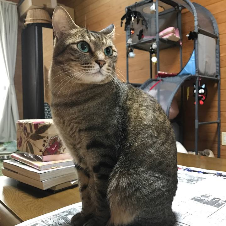 F9c28cf0 c381 4976 ac2e b47be5bfe858