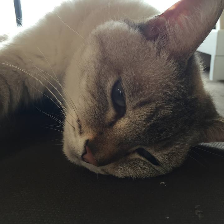 F9c2938c 760a 40d0 8172 e60365d413b1