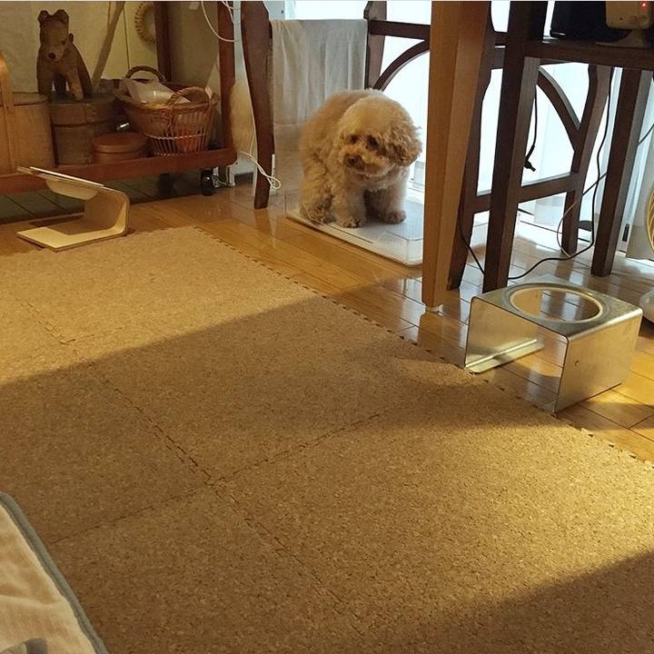 F9c293f4 56bc 464c b45b 31edba28cf0f