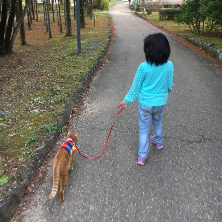 F9c29a58 3b05 43ad 81ef ddaca92e856c