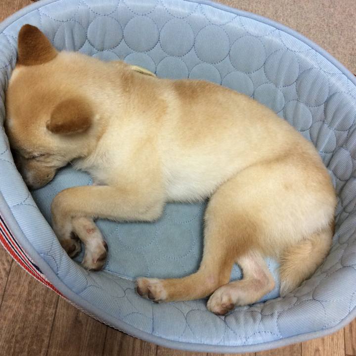 F9c2de5e ef03 4045 8165 61a2119ed051