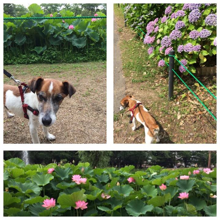 F9c2ef5e ac59 44dc 9e8a 33b55005770e