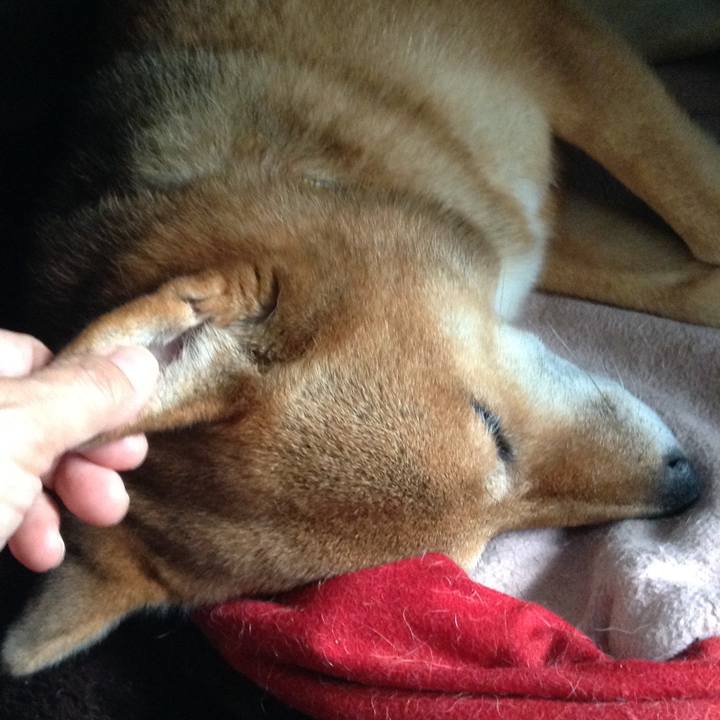 F9c31d88 e561 4cf2 b37c 41b4ddde8b03