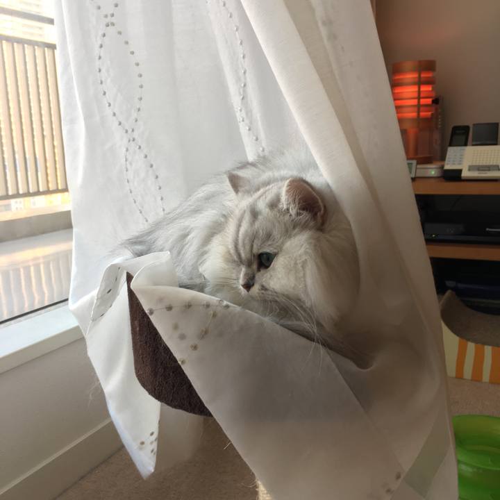 F9c37db6 453b 4b59 af75 537499baf933