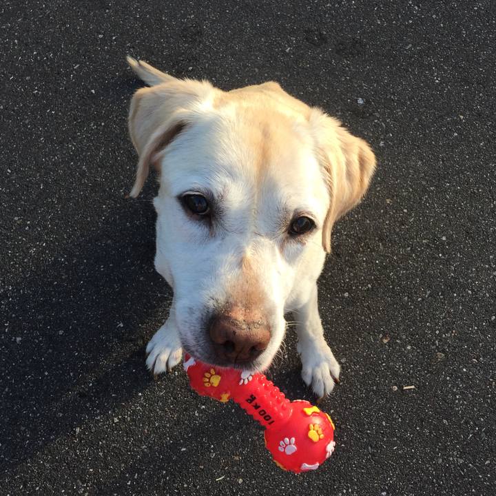 F9c38b1a 95d3 4801 ad98 137f60c53f8a