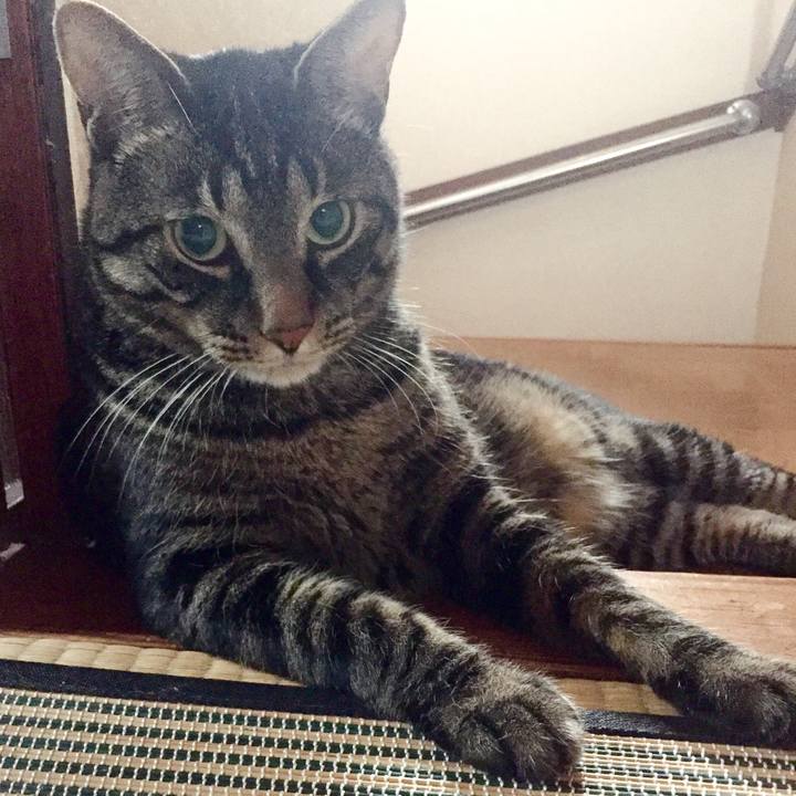 F9c3c5d0 9cb1 404f 8507 bd230ebfc568