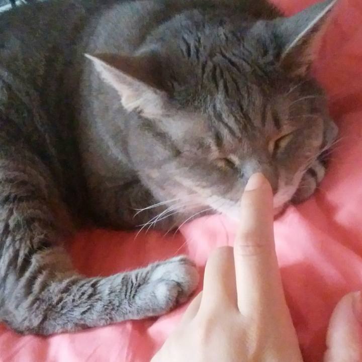 F9c3d98f 20d4 401a bb4f efb47aee554d