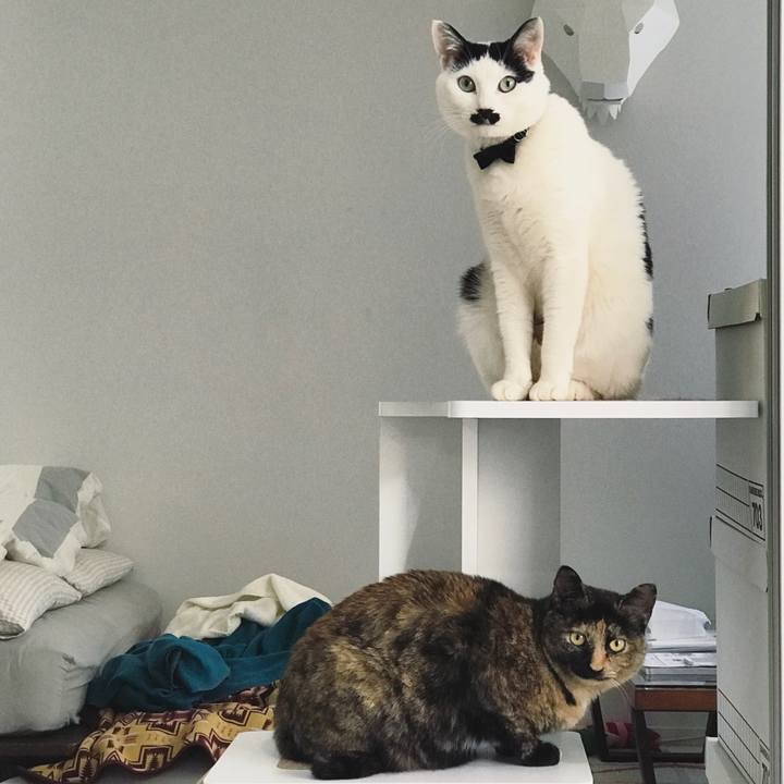 F9c5ceee afe6 4cc0 82b6 5c8d01c62772