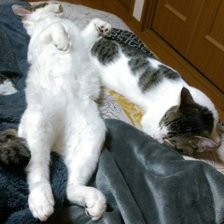 F9c68bb9 34ae 445f 8361 c558f2765ded