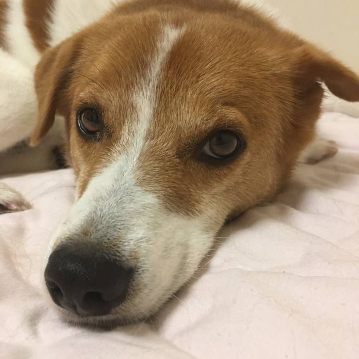 F9c6aab3 f4c0 4e56 8204 e13e81c497a6