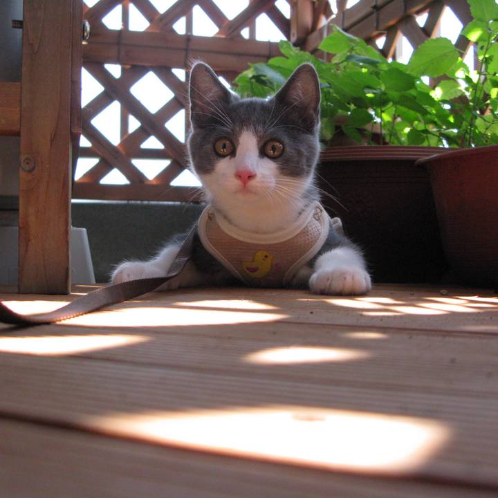 F9c6f323 bb54 4d62 9db1 1f74440c47ef