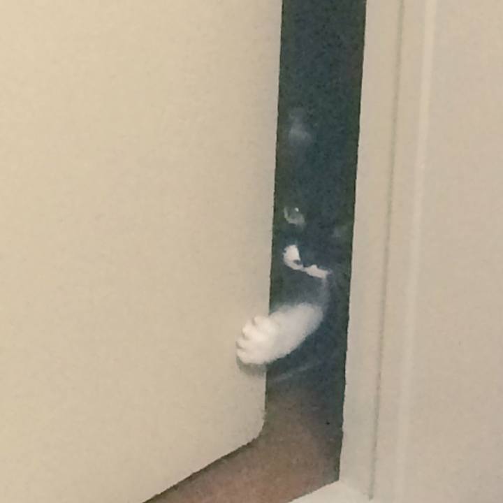 F9c6f65e f052 4332 926c 10ea0b07007e