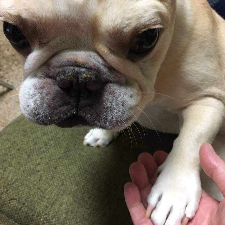 F9c74381 7690 42b6 aa51 b565b97c8d1b