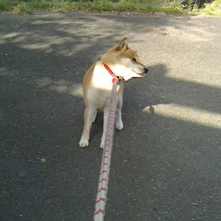 F9c7ae1e cfbe 43d9 861b 54eb45cfc575