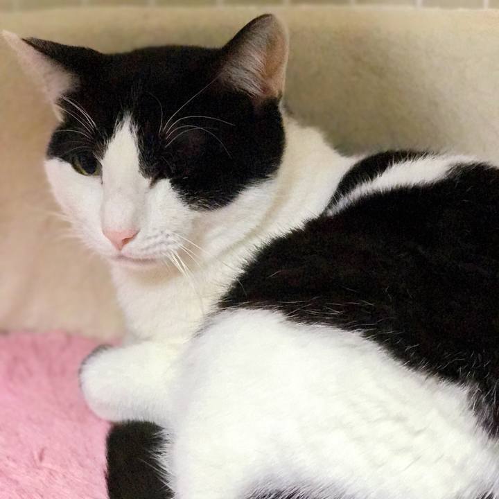 F9c7fd19 c4b9 44c6 9e8e b52c12731f4b