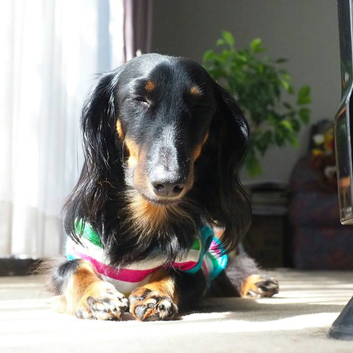 F9c84b5e 0dc6 436f ba09 b5e2a3346cb3