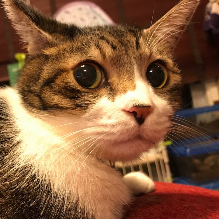 F9c87c8d 83cc 4261 a584 ada445f4f69c