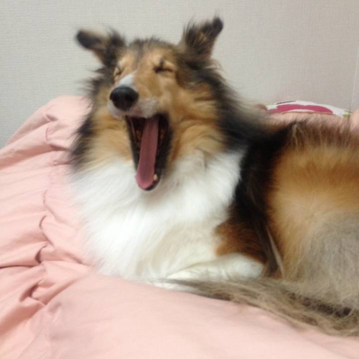 F9c883ad 9dde 41de a925 2b171444c958