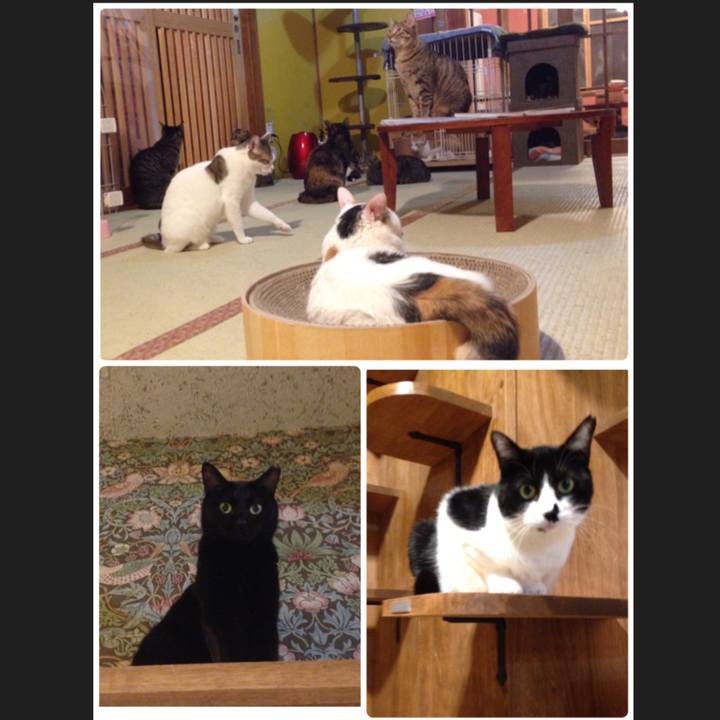 F9c9c2d7 5939 4115 850e 8481d596f087