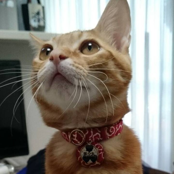 F9c9ce25 7be6 4d8a 9b07 d0f354598be6