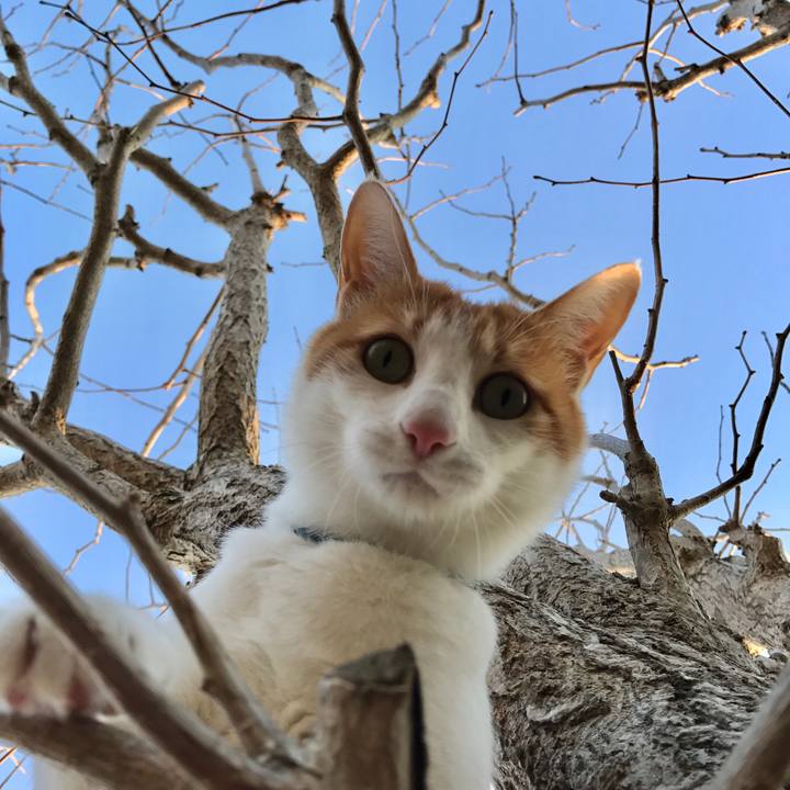 F9ca65ff b6f6 4fad 94c8 487f0b1d4e98