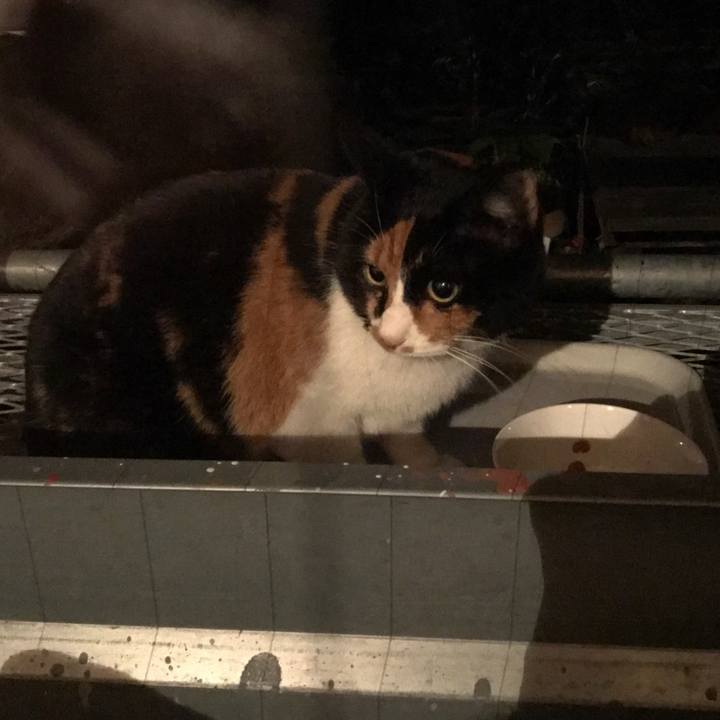 F9cab291 bc70 4ab8 9da7 1edb9a2dc811