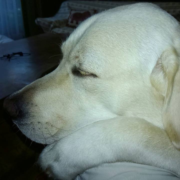 F9cc0a7a 1296 4ccb ad34 ba824d642757