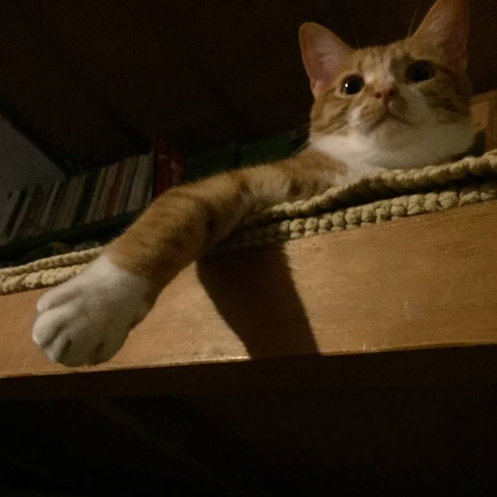 F9cc2527 a2fd 453c bb91 52d0a93eecd8