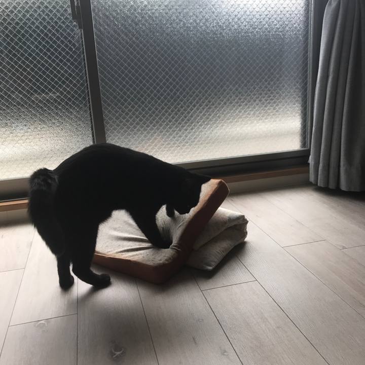 F9cc44f0 a9bf 44c4 acb5 d202b59c35c9