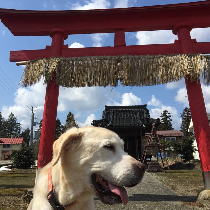 F9cc6b02 e166 4e10 aa36 8a0934a09b06